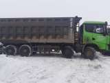 SHACMAN SX33186V366 8x4 Самосвал  2022